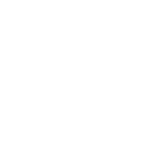 white aiada logo