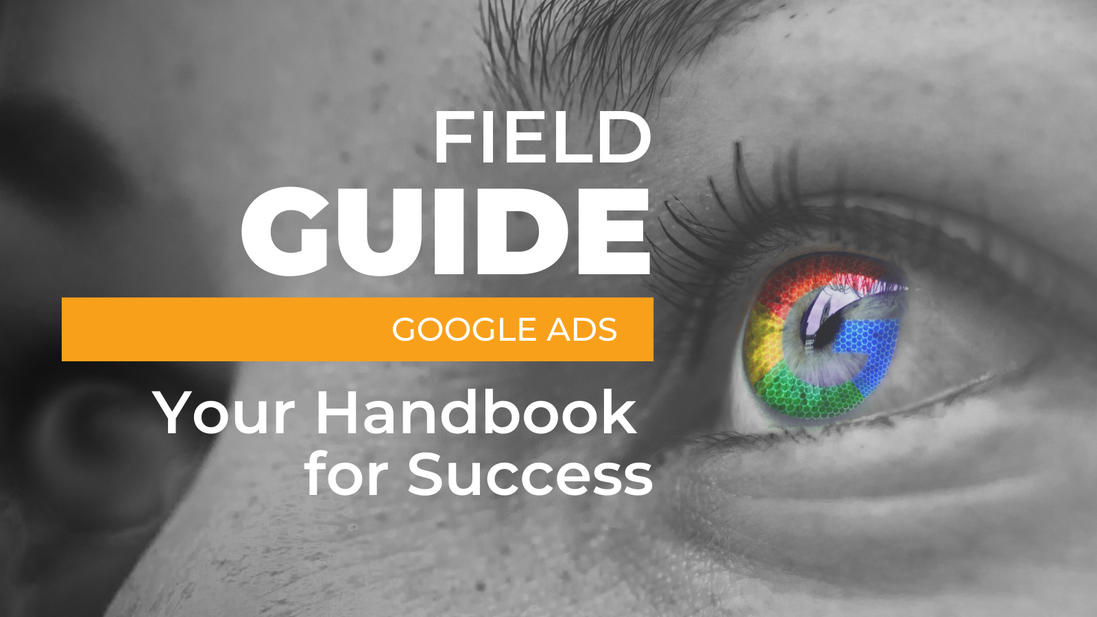 Guide to Google Ads and Audit
